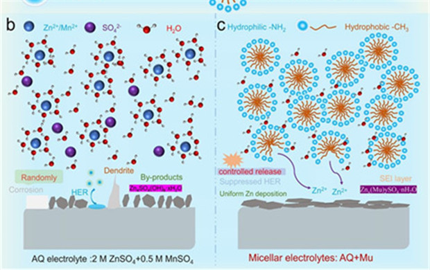 中国科大提出纳米胶束电解质新思路并用于高性能水系锌锰二次电池